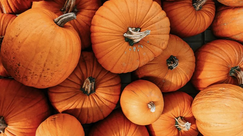 If You Can Get More Than 75% On This A-Z Fall Quiz, Pumpkin Spice Is Literally Pulsing Through Your Veins RN